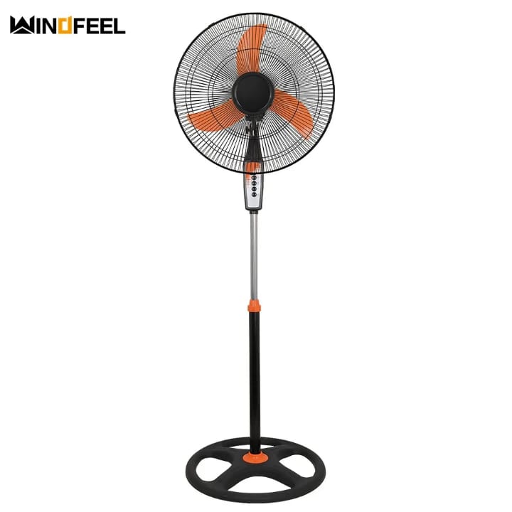 fan