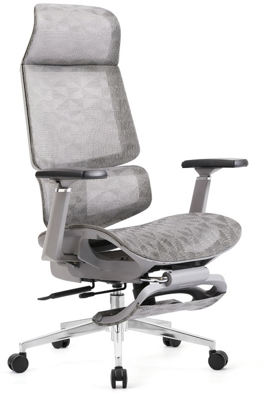 Multi-Function Office Chair