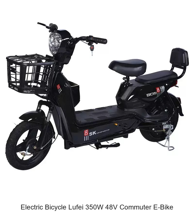 Electric Bicycle Lufei 350W 48V Commuter E-Bike (Black)