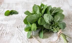 新鲜薄荷束（25克）演示